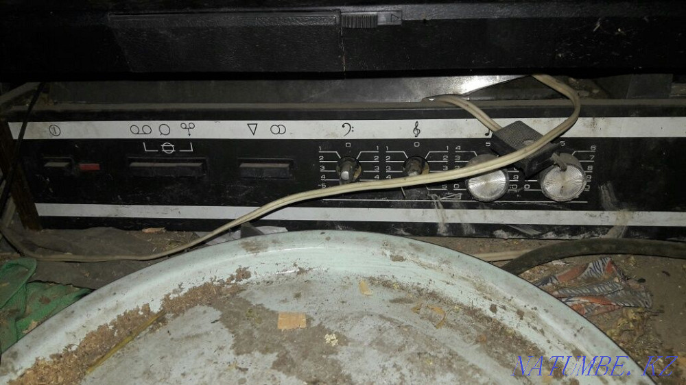 Rare electrophone Almaty - photo 1