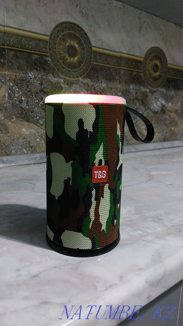 TG caliper, caliper, Кайтпас - photo 5