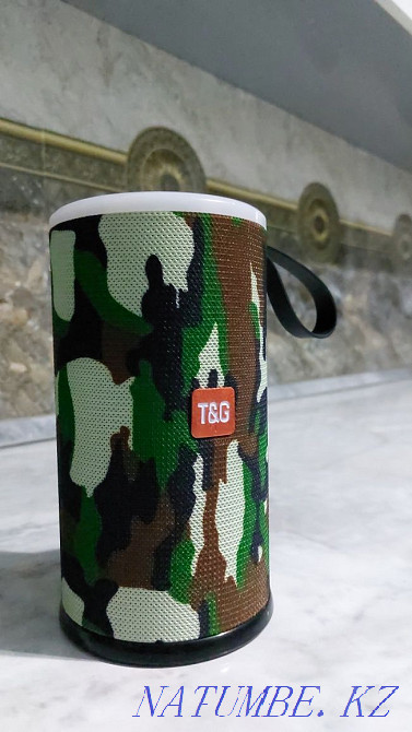 TG caliper, caliper, Кайтпас - photo 6