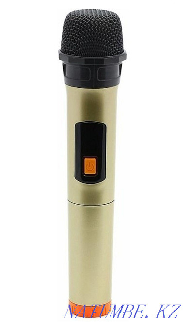 Portable speaker HOPESTAR PARTY 100 Almaty - photo 3