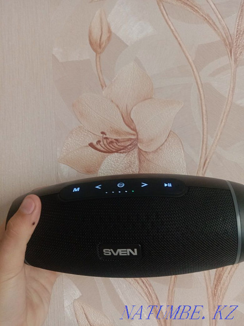Сымсыз динамик SVEN PS-230  Қарағанды - изображение 1