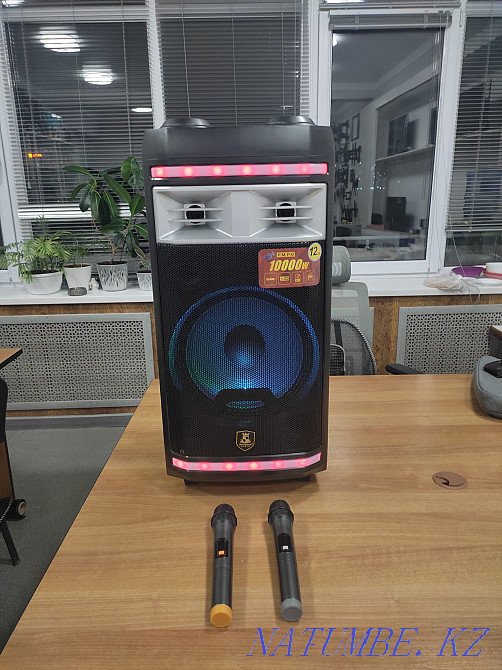 Acoustic portable speaker. Powerful, chic Almaty - photo 1
