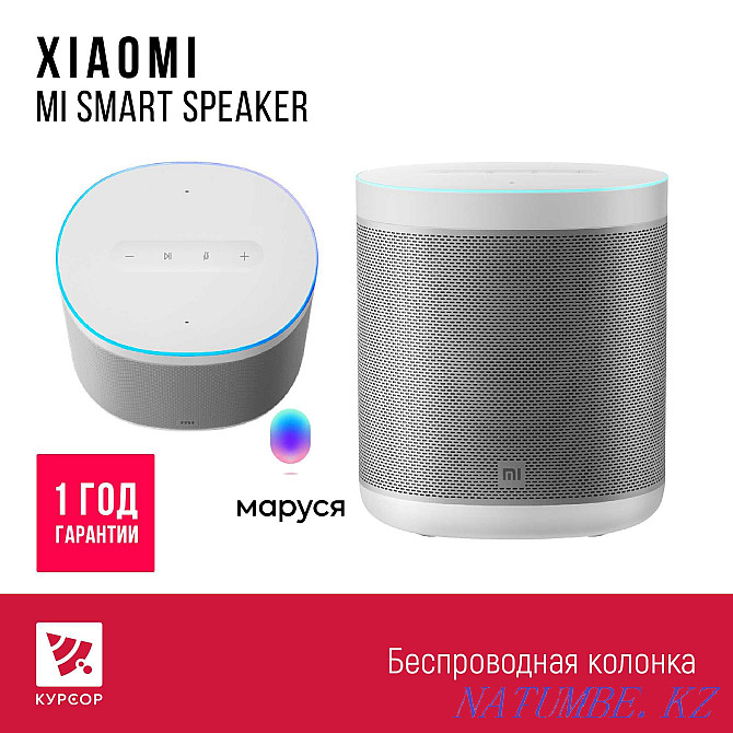 Xiaomi Mi Smart Speaker with built-in Marusya Petropavlovsk - photo 1