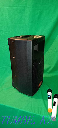 Speaker rental + 2 Microphones! Wireless. Bluetooth, USB, AUX speakers Shymkent - photo 3