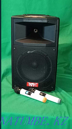 Speaker rental + 2 Microphones! Wireless. Bluetooth, USB, AUX speakers Shymkent - photo 2