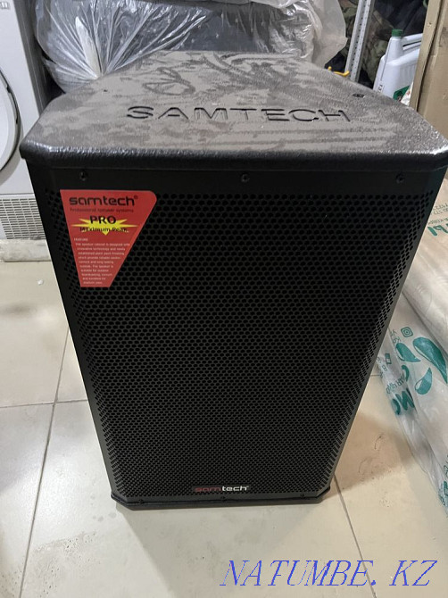 Karaoke two microphones two speakers remote control processor all included Astana - photo 5