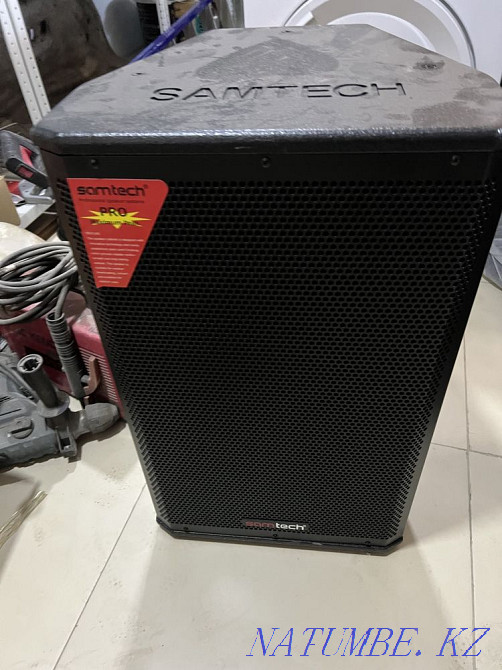 Karaoke two microphones two speakers remote control processor all included Astana - photo 4