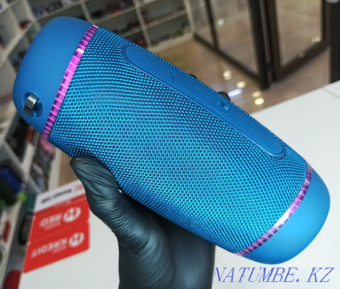 Original Portable Bluetooth Speaker NR-8011D Karagandy - photo 3