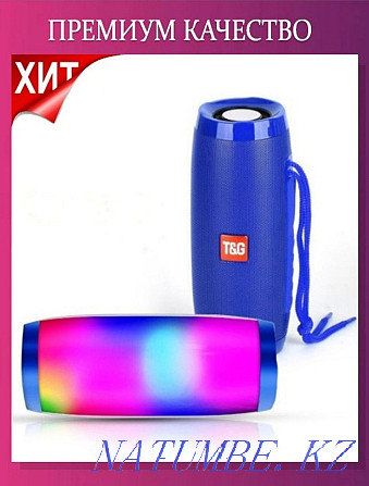 Portable speaker + radio Кайтпас - photo 1