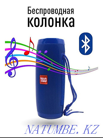 Portable speaker + radio Кайтпас - photo 2