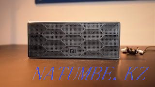 Xiaomi Bluetooth speaker. Urochishche Talgarbaytuma - photo 2