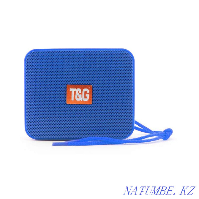 Wireless speaker TG 166 Kostanay - photo 1