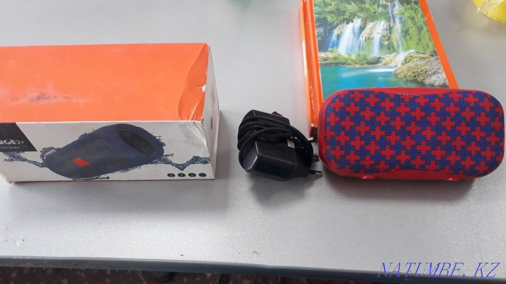 Колонка портативная Петропавловск - изображение 1