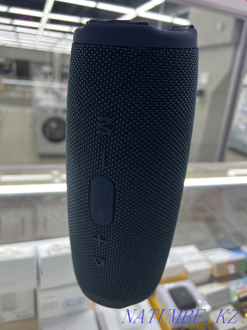 Калонка безпровадная Семей - изображение 2