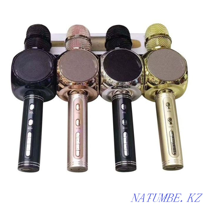 Bluetooth Speaker, Karaoke Microphone YS-63 USB, micro SD Astana - photo 2