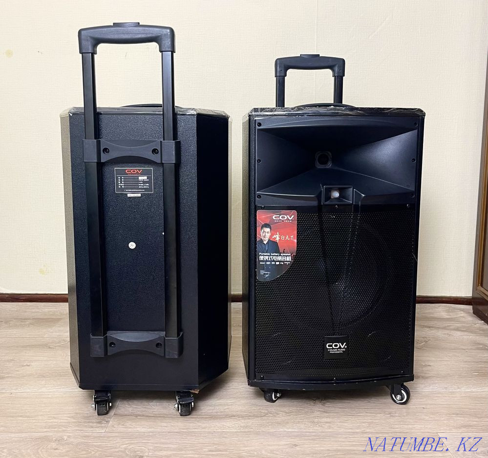 ~А~Р~Е-Н~Д~А- Блютуз колонка! На природу! + Микрофоны! Алматы - изображение 4