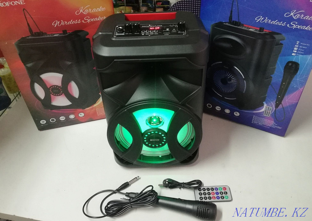 Bluetooth karaoke speaker Shymkent - photo 1