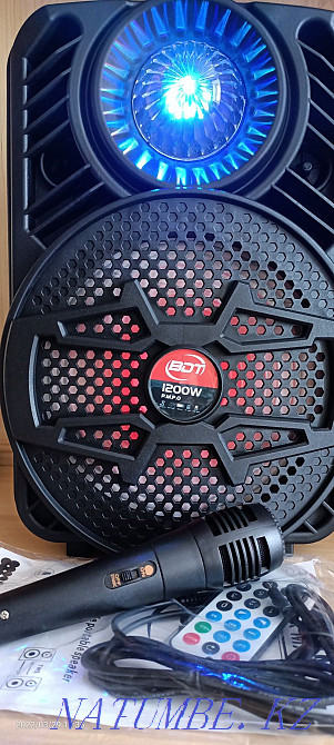 Блютуз калонка с микрофоном Рудный - изображение 2