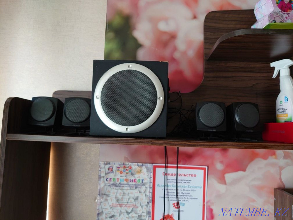 Колонк Microlab 5в1 Рудный - изображение 1