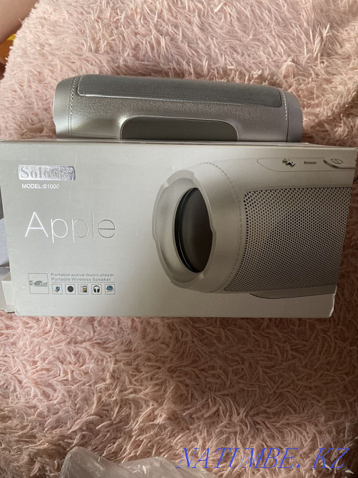 Column Ekibastuz - photo 2