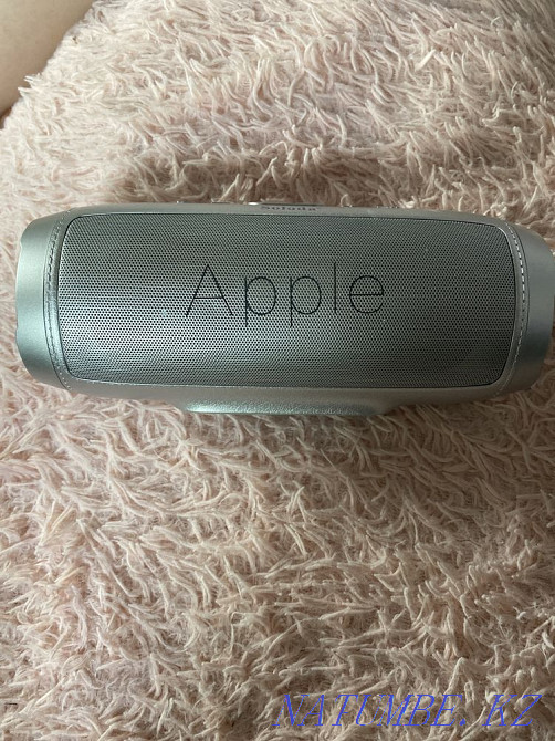 Column Ekibastuz - photo 1