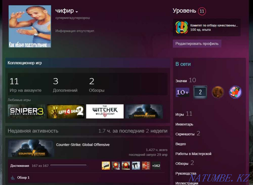 Steam account 12 games, level 11. Karagandy - photo 1