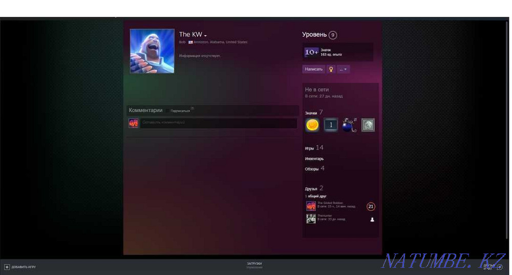 Selling my Steam account. Astana - photo 1