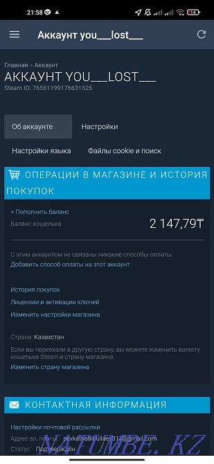 Steam account without prime Turkestan - photo 1