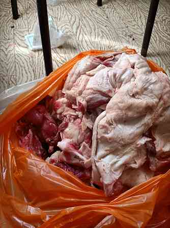 Мясо для собак чистое не воняет Aqtobe
