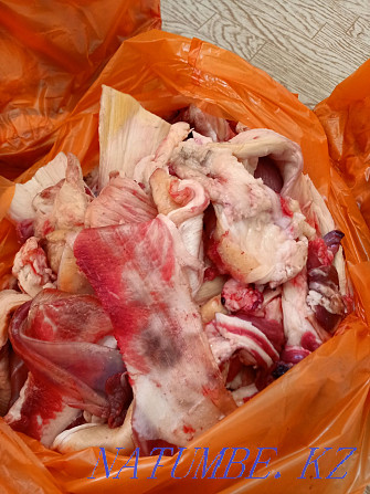 Мясо для собак чистое не воняет Актобе - изображение 4