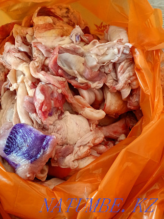 Мясо для собак чистое не воняет Актобе - изображение 5