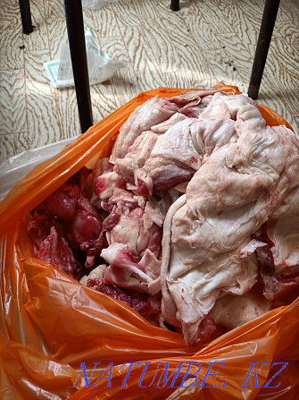 Мясо для собак чистое не воняет Актобе - изображение 6