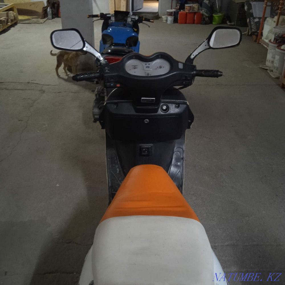 sell raton fieri Urochishche Talgarbaytuma - photo 5