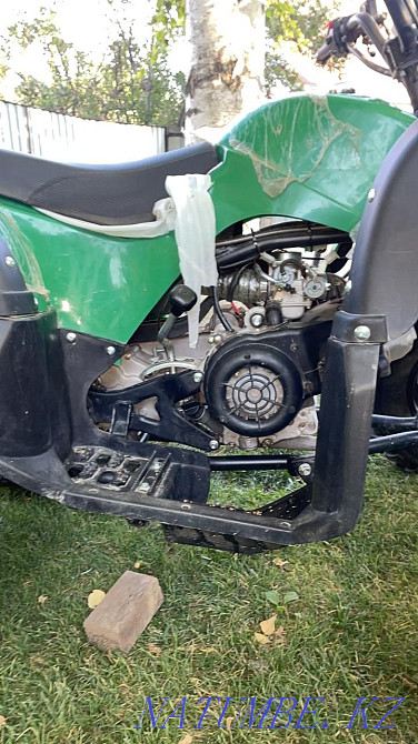 Мопедтер мен квадроциклдерді жөндеу  Алматы - изображение 4