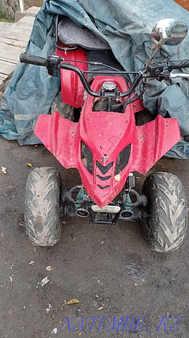 Мопедтер мен квадроциклдерді жөндеу  Алматы - изображение 8