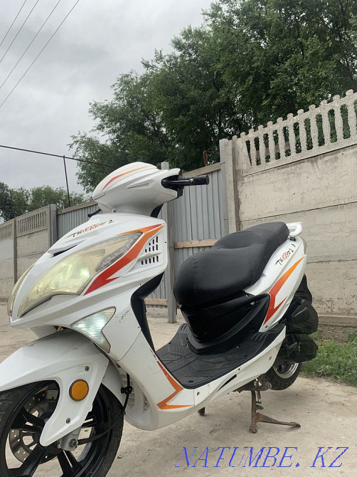 Moped / scooter TIGERRO-2 (150cc)  - photo 8