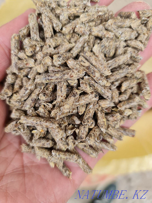 Compound feed for cattle and small cattle Нурмухамеда Есентаева - photo 3