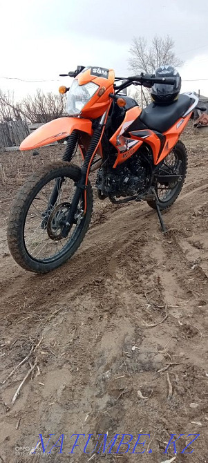 Raptor 200 164MFML Семей - изображение 4