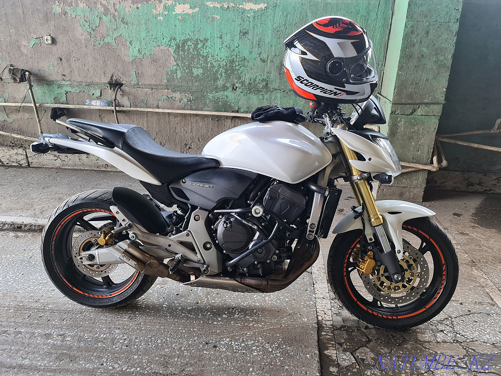 Honda hornet 2.0. Бак Honda Hornet 250. Хонда Хорнет 2.0. Honda Hornet 600 плуг. Дуги для Хонда Хорнет 600.