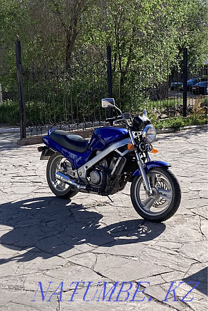 Honda NTV Reviera 650  Қарағанды - изображение 4