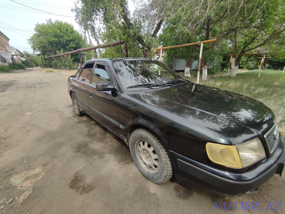    year Semey - photo 1