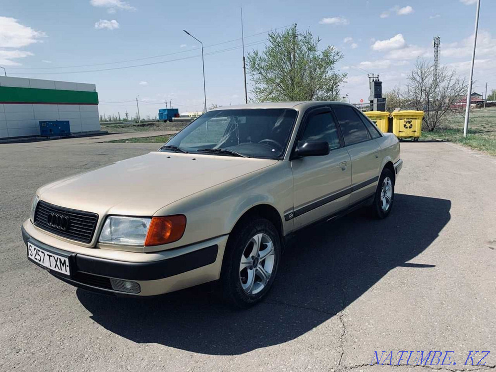    года Экибастуз - изображение 3