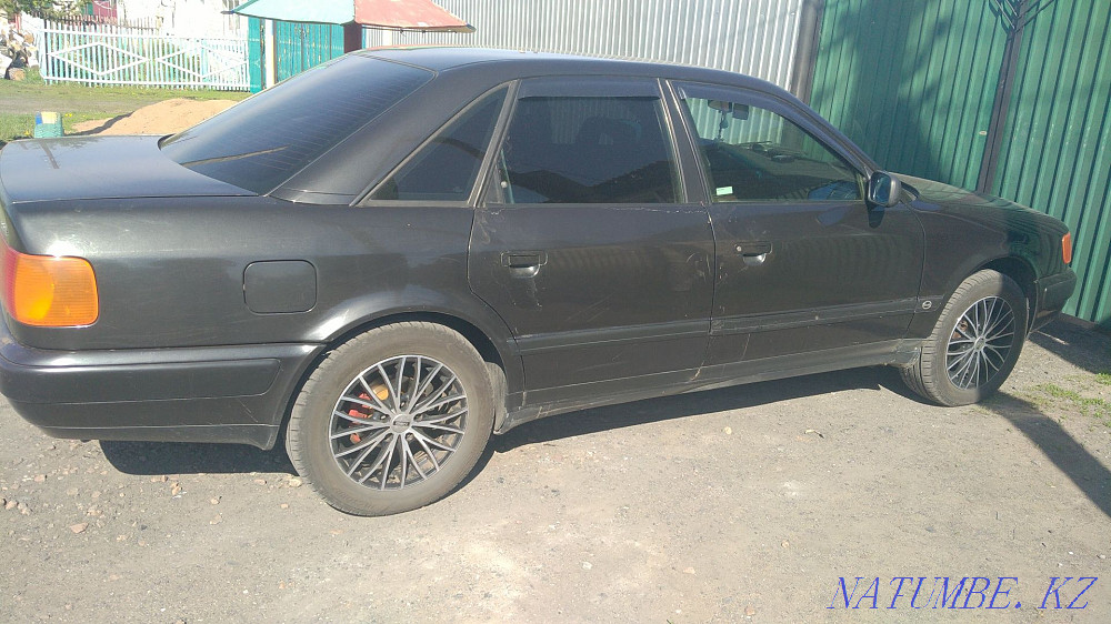    year Petropavlovsk - photo 4