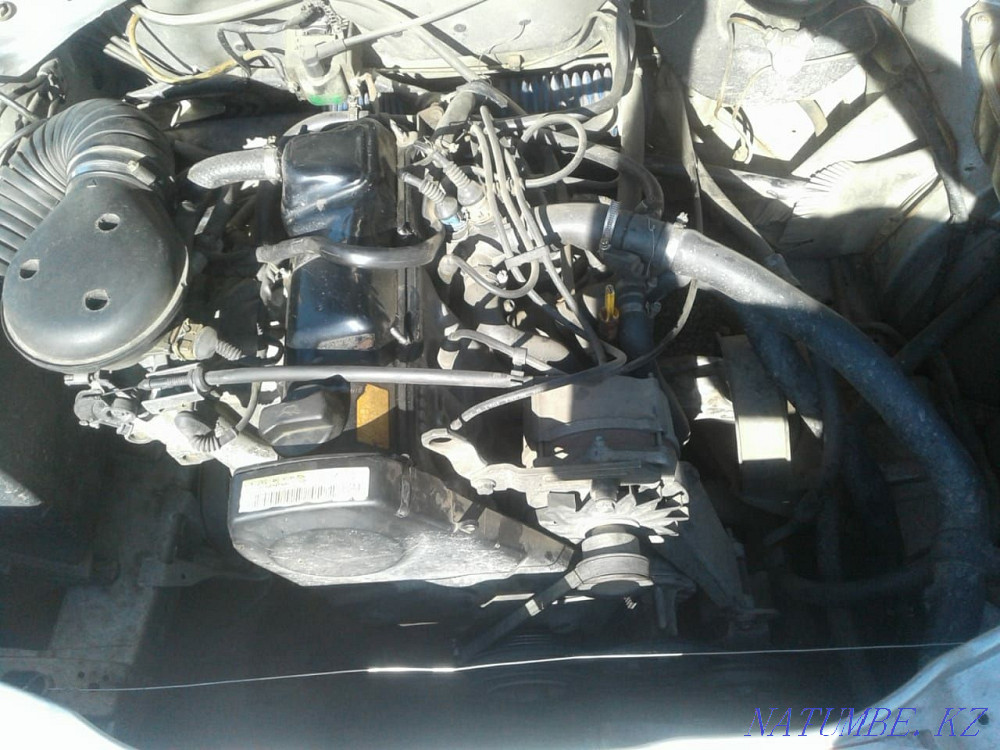    year Kokshetau - photo 7