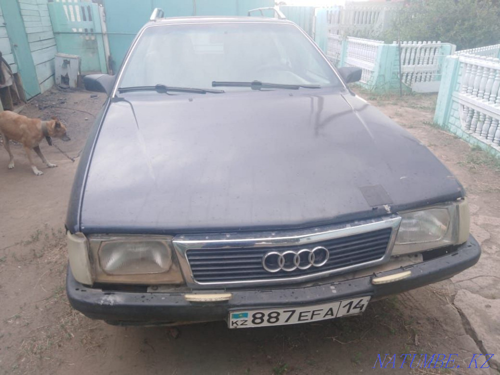    year Pavlodar - photo 1