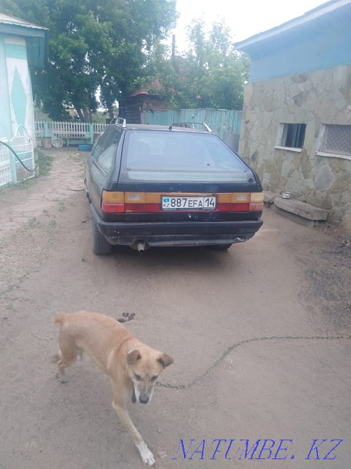    year Pavlodar - photo 7