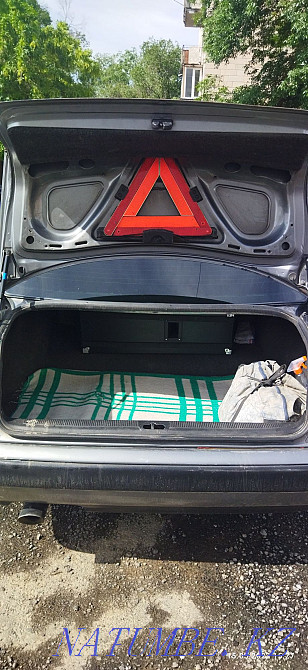    year Almaty - photo 6