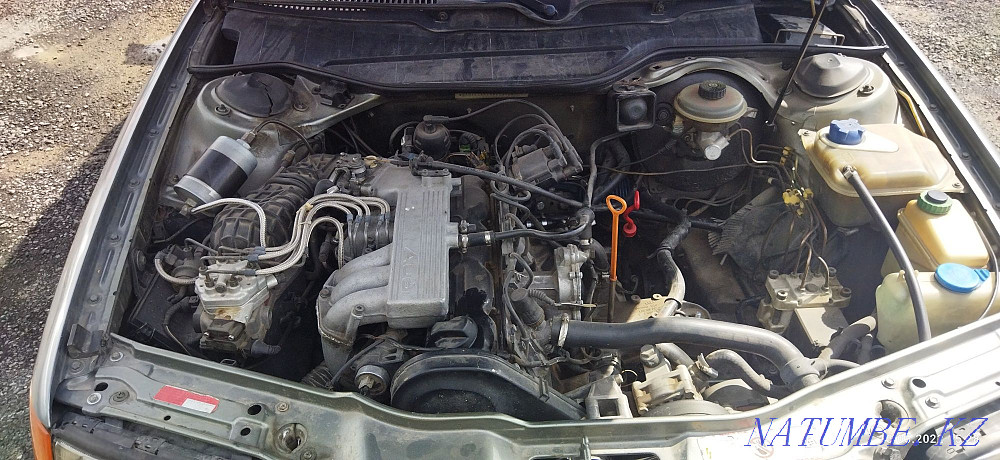    year Almaty - photo 7