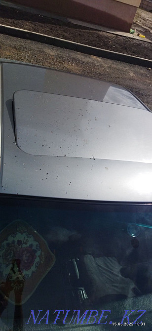    year Almaty - photo 4