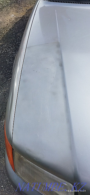    year Almaty - photo 8